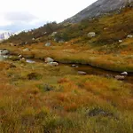 Hotel Sirdal Hoyfjellshotell Fidjeland