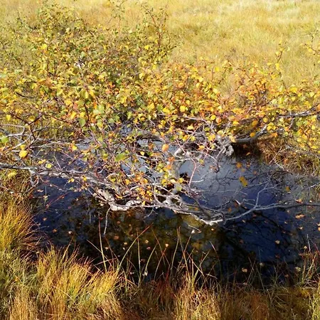 Sirdal Hoyfjellshotell فندق Fidjeland