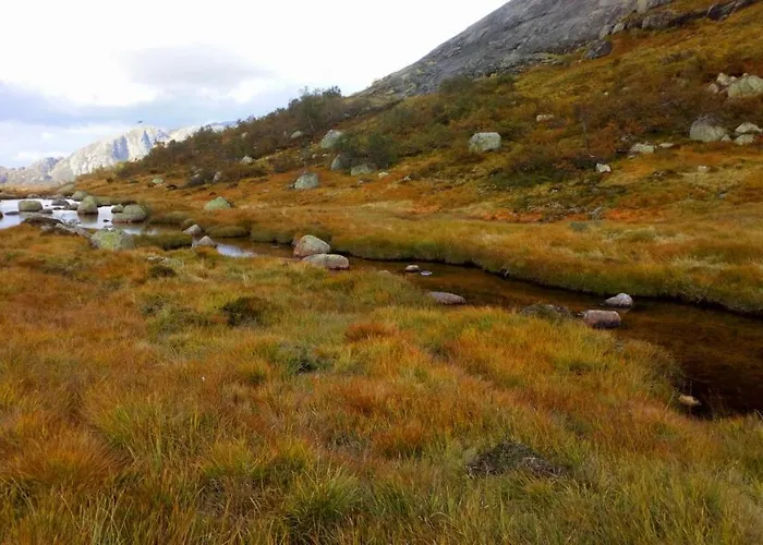 Otel Sirdal Hoyfjellshotell Fidjeland